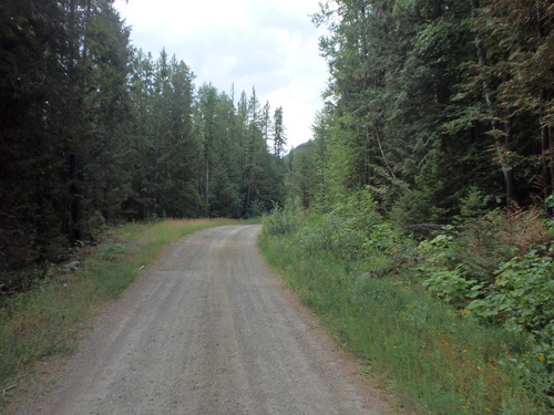 GDMBR, south of Fatty Creek, MT.